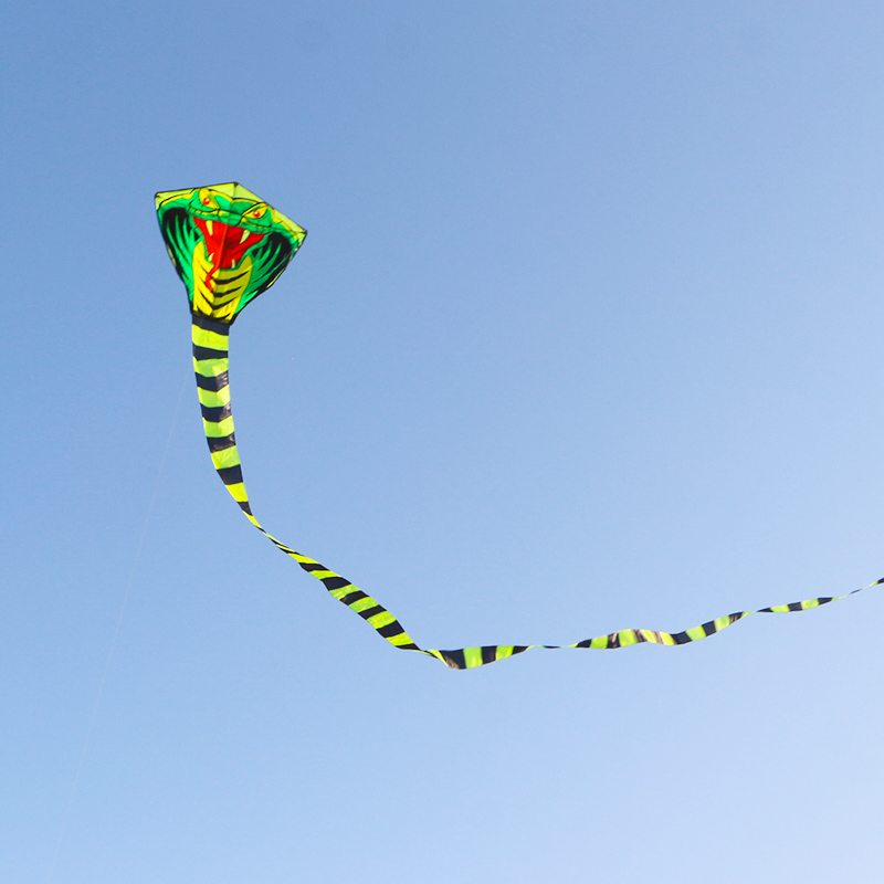 Cometa de serpiente Paradise B - Outdoor Sport Outlet reseña y precio