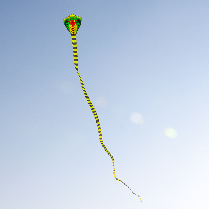 Cometa de serpiente Paradise B - Outdoor Sport Outlet reseña y precio